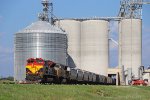 Empty grain train and its destination